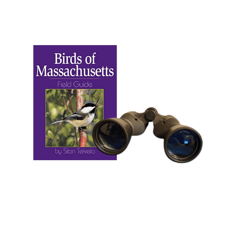 birding kit